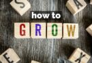 how to grow and scale your business idea