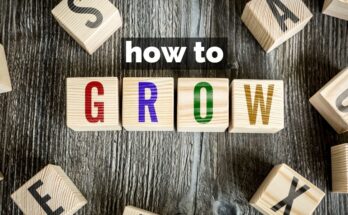 how to grow and scale your business idea