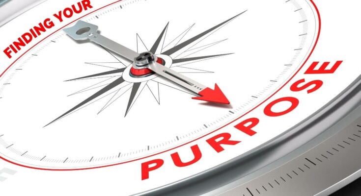 finding your purpose and building a business